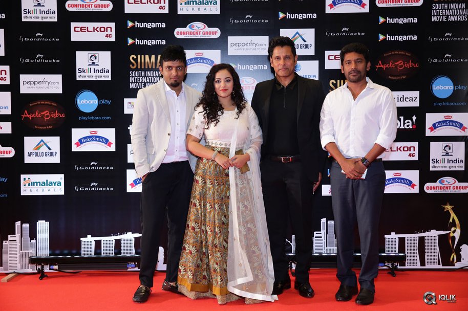 Celebs-at-SIIMA-2016